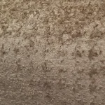 تدی براق نسکاقه ای