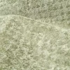 ندی سبز