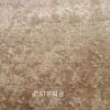تدی شتری