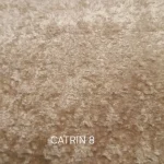 تدی شتری
